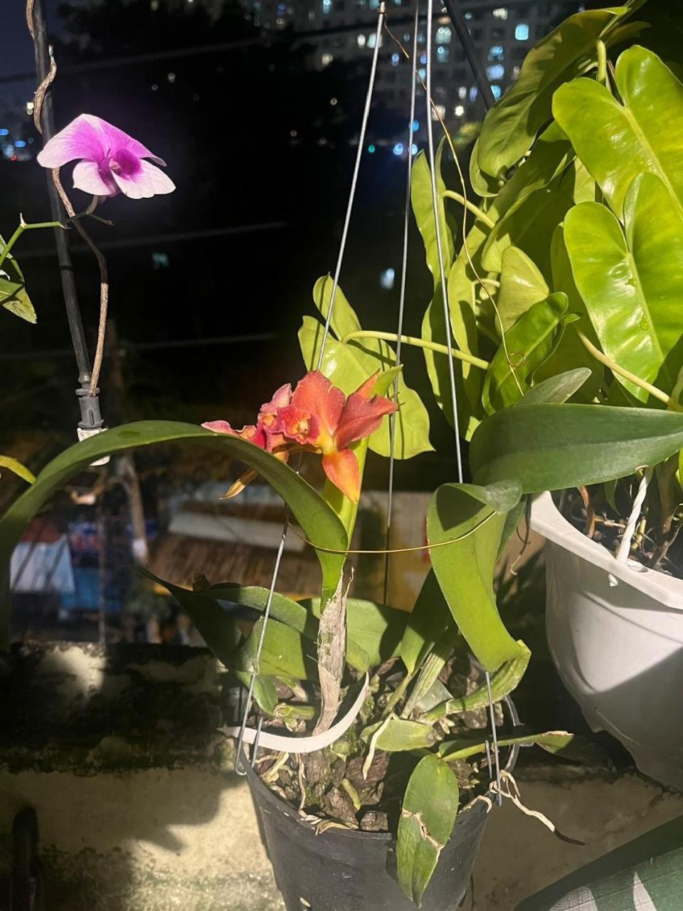 הו צ'י מין סיטי May House Binhthanh מראה חיצוני תמונה