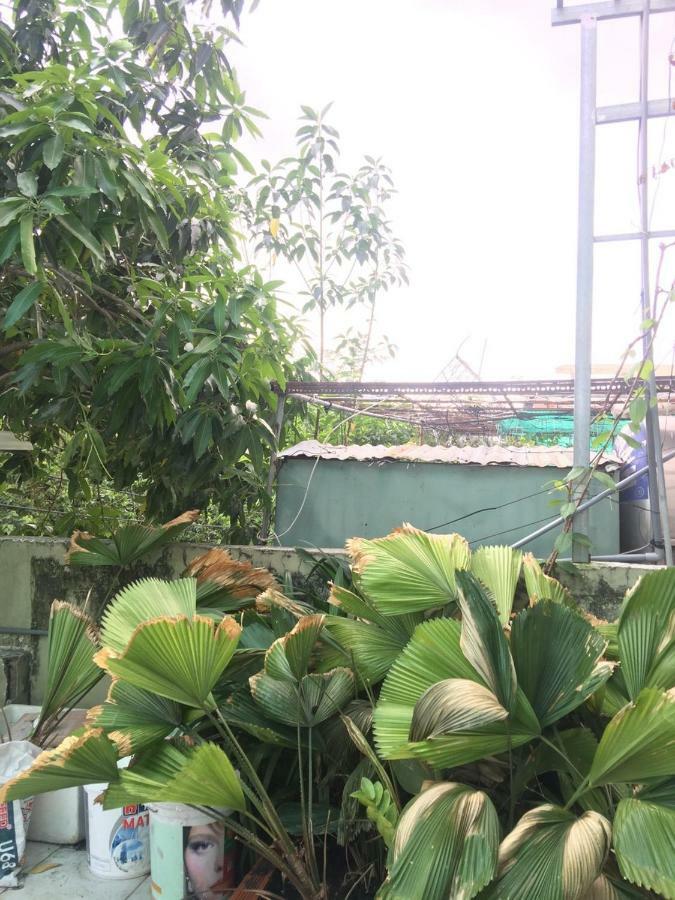 הו צ'י מין סיטי May House Binhthanh מראה חיצוני תמונה